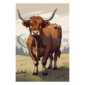 MultiMotion Design blusdeken - Schotse Hooglander