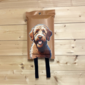 MultiMotion Design blusdeken - Labradoodle