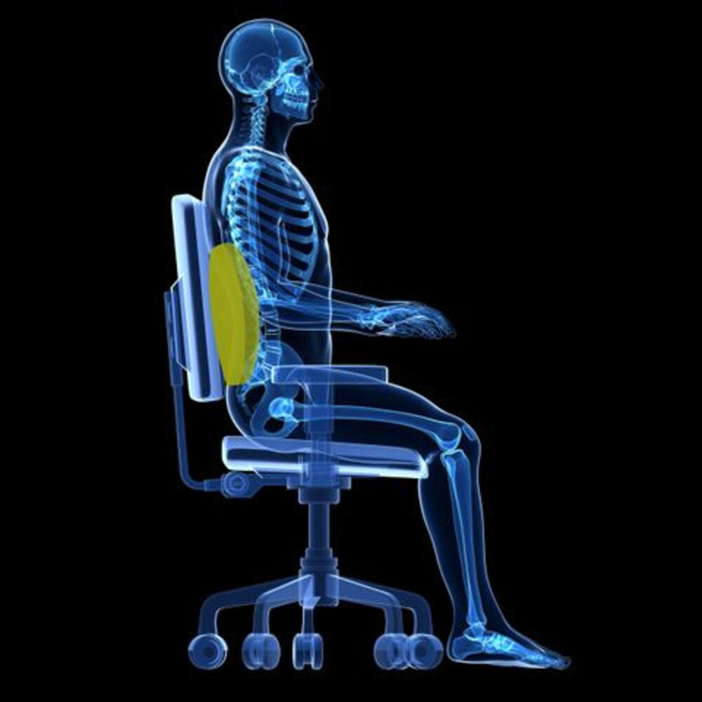 MultiMotion MultiMotion lumbaalkussen met hot-cold gel pack