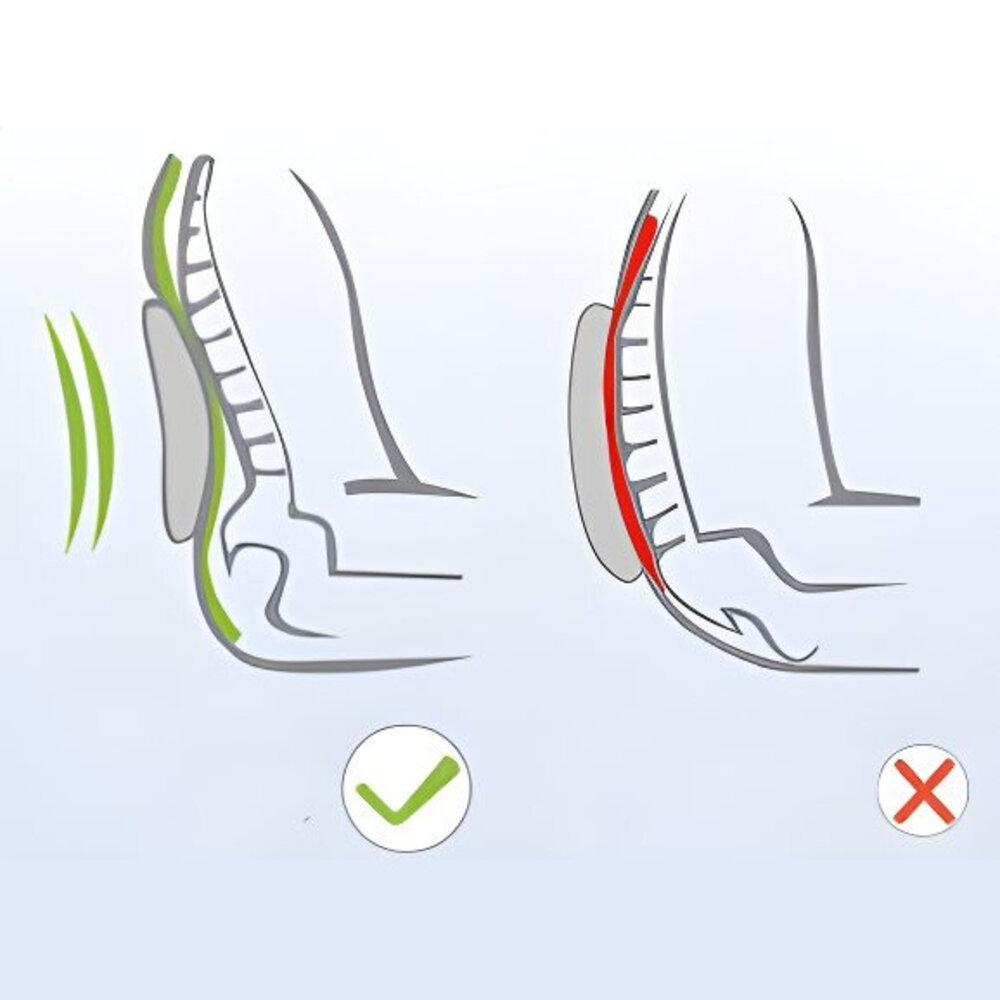 MultiMotion MultiMotion lumbaalkussen / rugkussen deluxe