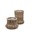 Gommaire Organic Living Planter Basket Nell - small