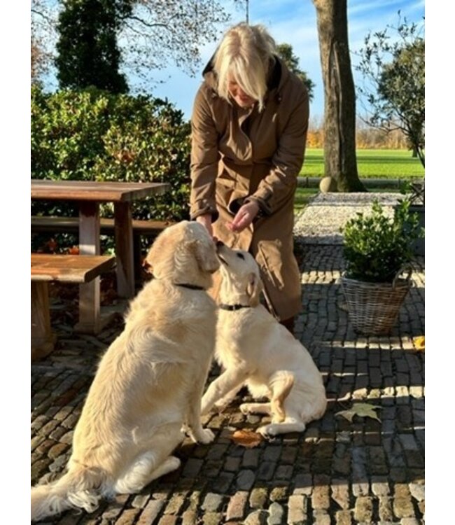 Jas Kensington - Camel