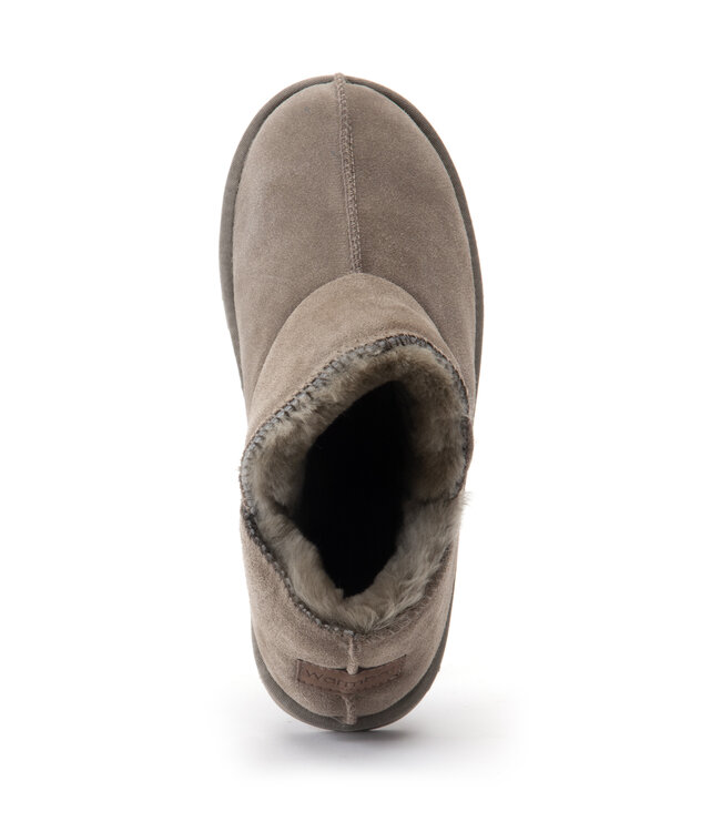 Warmbat Willow - Dames Suede Moss