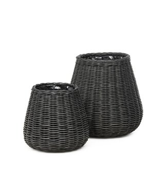 Gommaire Organic Living Palm planter basket - small