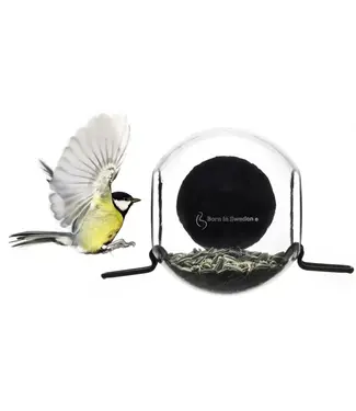 Bird feeder