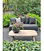 Coffee table Carol