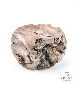 Gommaire Organic Living Bijzettafel Root Ball