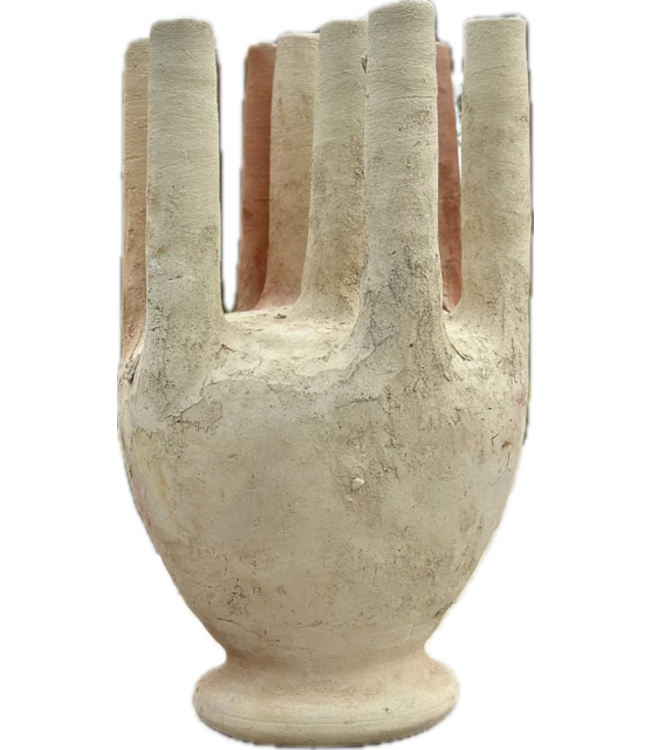 Octopus Tamegroute aardwerk - raw