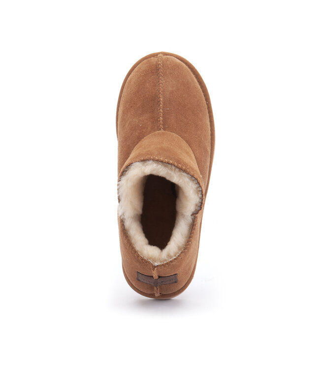 Warmbat Willow - Dames Suede - Plateau - Cognac