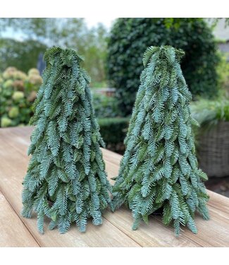 't Swarte Schaep Nobilis tree zijde groen 60 cm