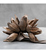 Sororoca head naturel