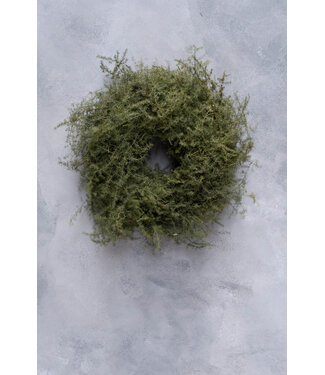 Couronne Asparagus Krans - 28 cm