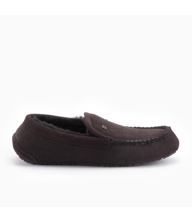 ERW441065 Earlwood Men Choco