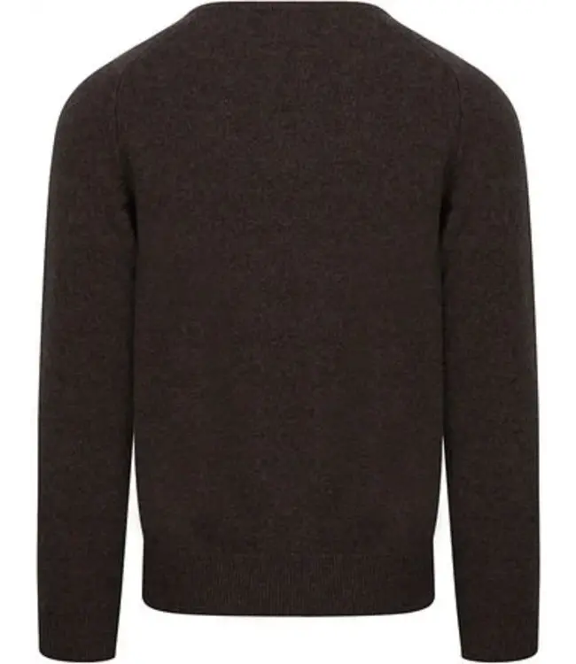 Lamswollen trui met V-hals dutch fit - Cocoa