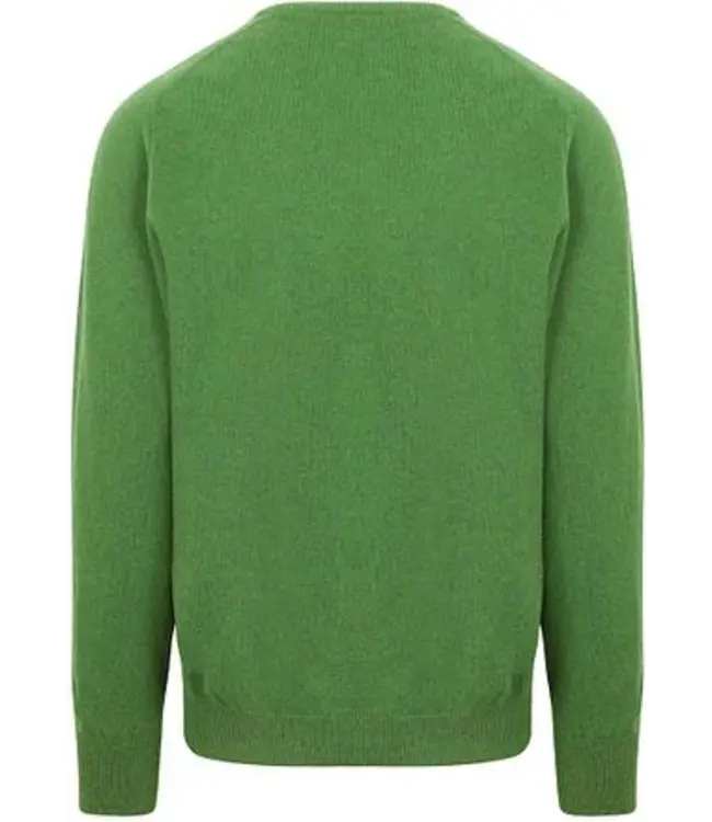 Trui lamswol V-hals DF - Watercres