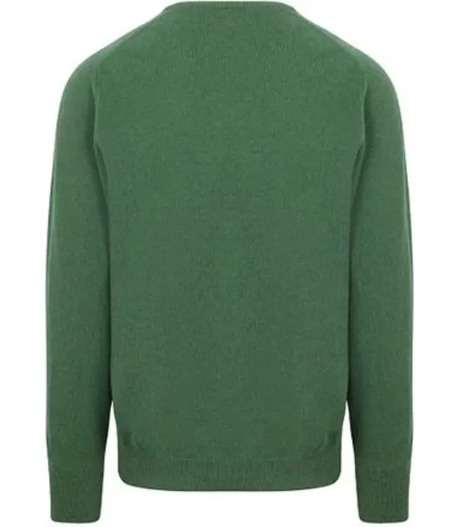 Trui lamswol - V-hals - DutchFit - M10045