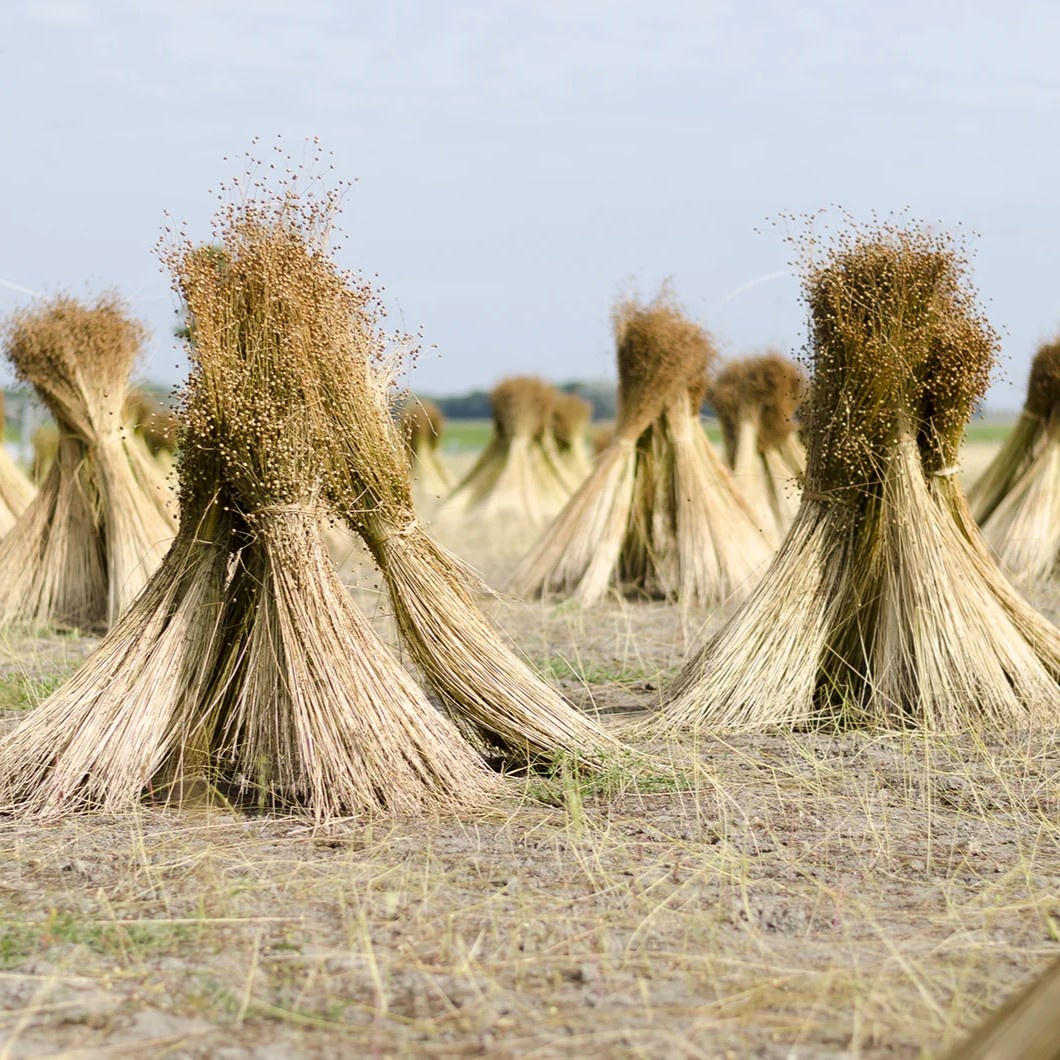 Linnen Liefde;  mode verandert, linnen blijft!