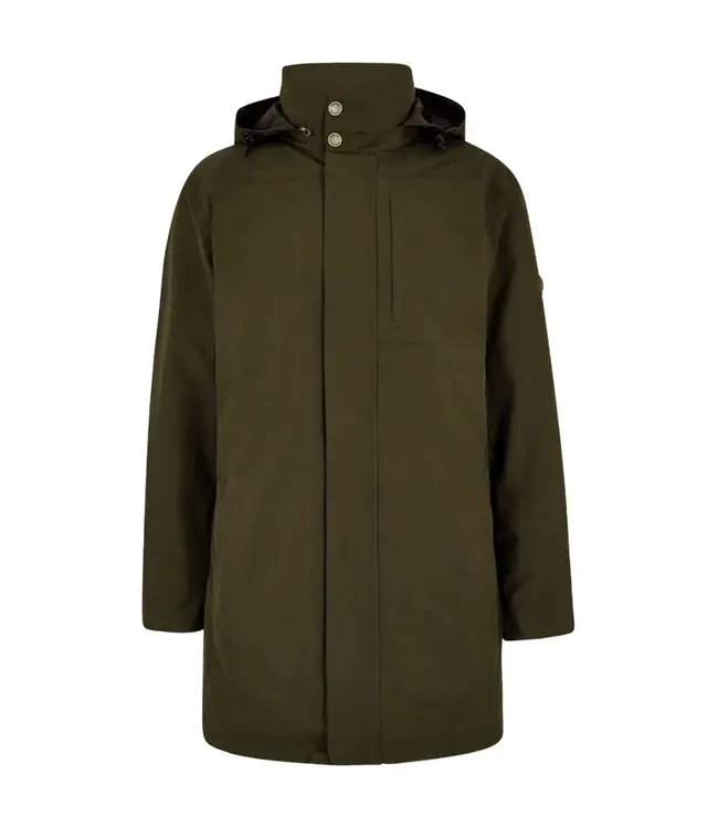 Blackstairs Olive