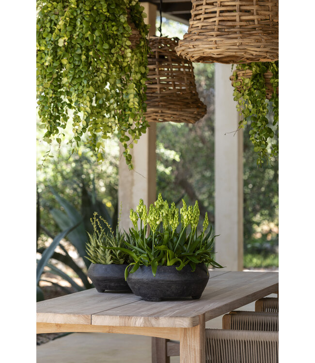 Tafel Jacoba - Large