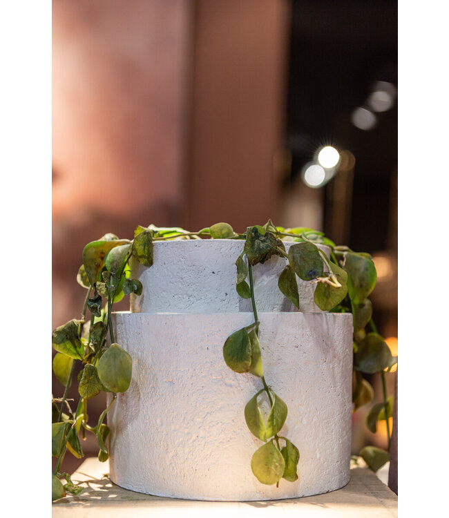 Pot Bowie - White- D20xH18CM