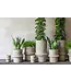 Vase Gabriel - medium  - Authentic Grey