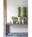 Vase Gabriel - medium  - Authentic Grey