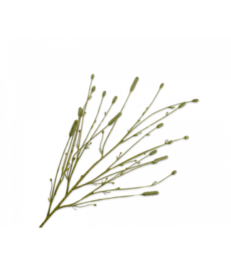 Silk-ka Pimpernel tak groen - 116cm