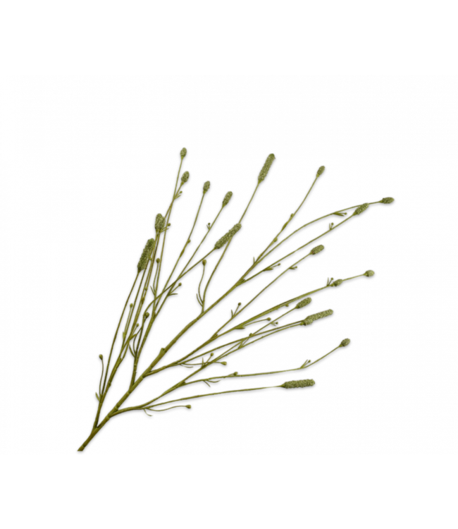 Pimpernel tak groen - 116cm