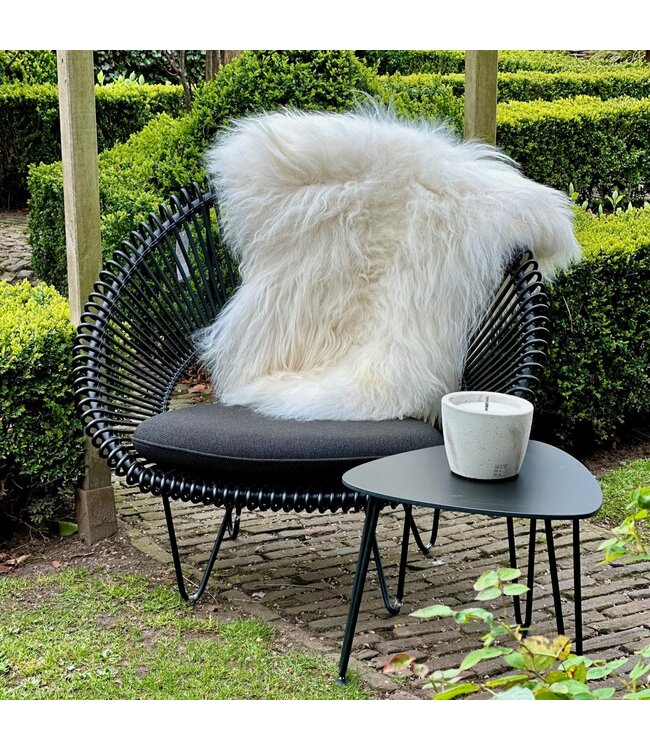 Roy Cocoon - Black - met zwart zitkussen