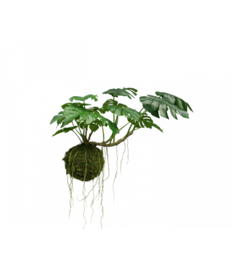Silk-ka Monstera hangend groen - 60cm