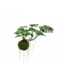Silk-ka Monstera hangend groen - 60cm
