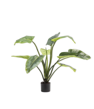 Silk-ka Alocasia Groen - 91 cm