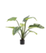 Silk-ka Alocasia Groen - 91 cm