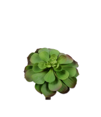 Silk-ka Succulent steker paars/groen - 15 cm