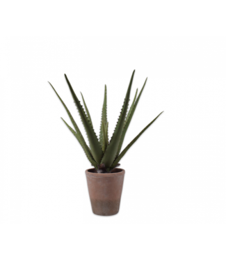 Silk-ka Aloe in pot groen -   53cm