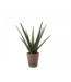 Silk-ka Aloe in pot groen -   53cm