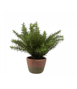 Silk-ka Asparagus in pot groen - 38cm