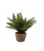 Silk-ka Asparagus in pot groen - 38cm