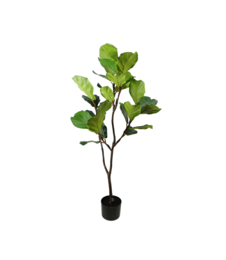 Silk-ka Ficus plant groen - 120cm