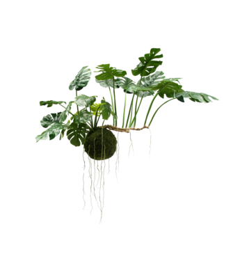 Silk-ka Monstera hangend groen - 80cm
