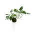 Silk-ka Monstera hangend groen - 80cm