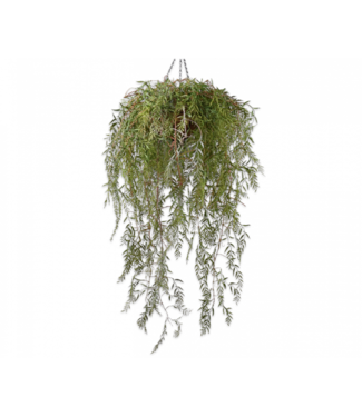 Silk-ka Hoya hangplant groen - 120cm