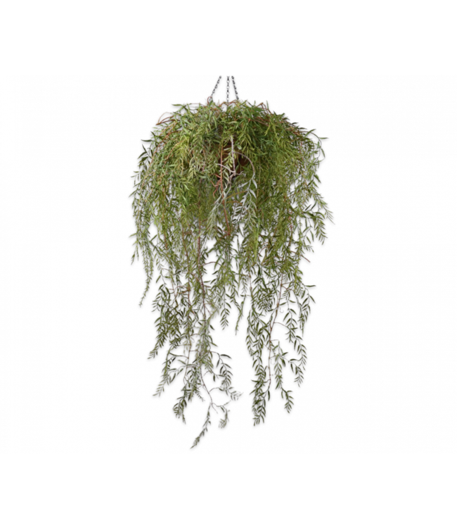 Hangplant groen - 120cm - 144053