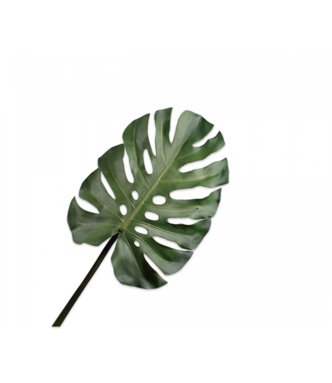 Monstera blad groen - 53cm - 150616