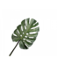 Silk-ka Monstera blad groen - 53cm