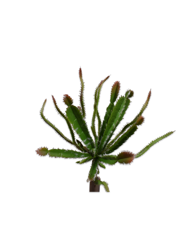 Succulent steker bruin/groen - 25 cm - 153647