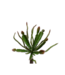 Silk-ka Succulent steker bruin/groen - 25 cm