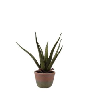 Silk-ka Aloe in pot groen - 40cm