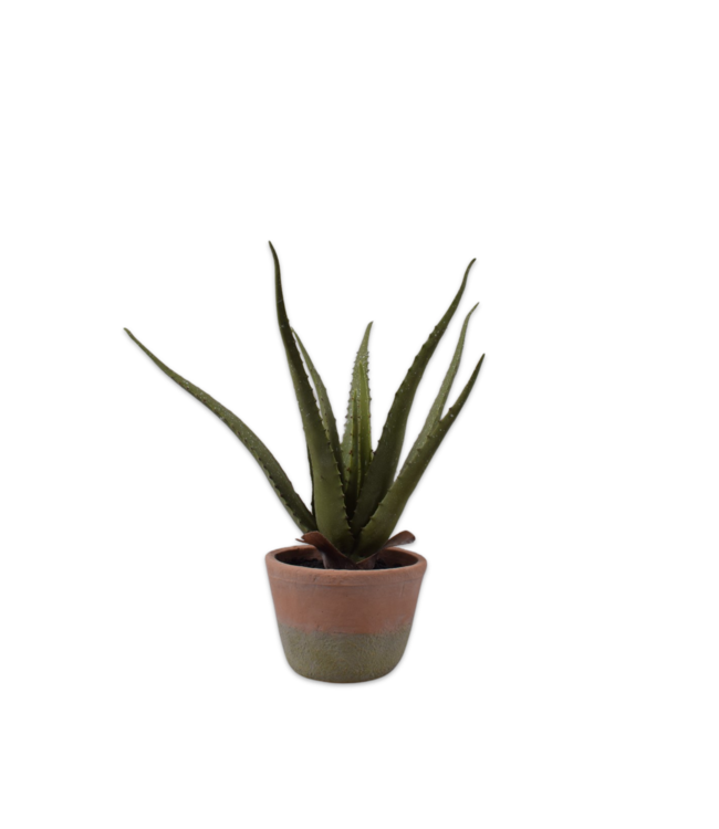 Aloe in pot groen - 40cm - 156091