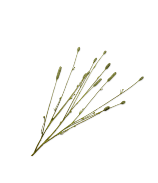 Silk-ka Pimpernel tak groen - 84cm